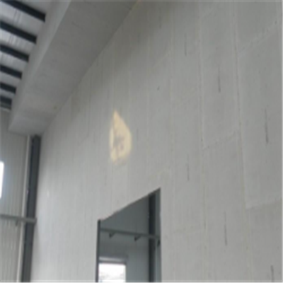 伊川宁波ALC板|EPS加气板隔墙与混凝土整浇联接的实验研讨